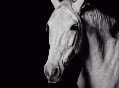 La Panaderia - Trabajos